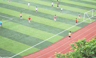 四川塑膠跑道廠家收費與售后指南 預制型跑道卷材選購須知