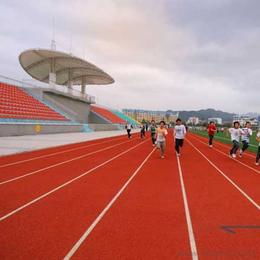 拼裝運動地板供應與批發(fā)指南 產品、價格與選購渠道