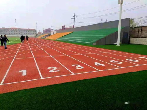 《學(xué)校運(yùn)動(dòng)場地合成材料面層推薦目錄（2021-2022）》產(chǎn)品展播 塑膠場地預(yù)制型跑道卷材