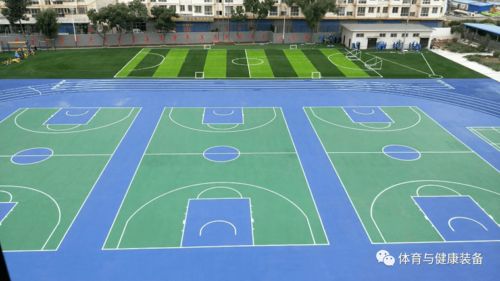 《學(xué)校運(yùn)動(dòng)場地合成材料面層推薦目錄(2020年版)》產(chǎn)品展播 塑膠場地預(yù)制型跑道卷材